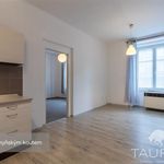 Rent 2 bedroom apartment of 52 m² in Plzeň