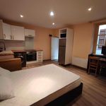Rent 1 bedroom apartment of 19 m² in Millau