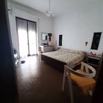 Rent 4 bedroom apartment of 119 m² in Catanzaro