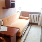 Wynajmij 3 sypialnię apartament z 54 m² w Bełchatów