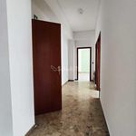 Affitto 3 camera appartamento di 150 m² in Reggio di Calabria