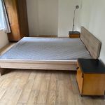 Rent 1 bedroom house of 540 m² in Noviny pod Ralskem