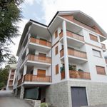 Rent 2 bedroom apartment in Bormio