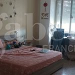 Rent 4 bedroom apartment of 120 m² in Macerata