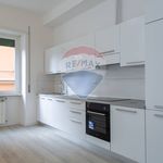 Rent 4 bedroom apartment of 121 m² in Roma