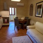 Affitto 1 camera appartamento di 50 m² in Volterra