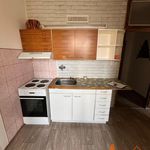 Rent 1 bedroom apartment of 38 m² in Chomutov