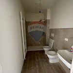 Rent 5 bedroom apartment of 70 m² in Castelnuovo di Garfagnana