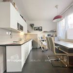 Rent 3 bedroom apartment of 76 m² in Plzeň