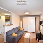 Rent 1 bedroom apartment of 45 m² in Jablonec nad Nisou