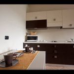 Rent 1 bedroom apartment of 38 m² in Brescia