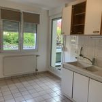 Rent 1 bedroom apartment of 43 m² in Sarreguemines