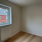 Rent 4 bedroom house in Oudenaarde