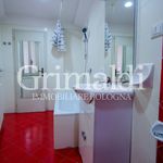 Rent 1 bedroom apartment of 54 m² in Bologna