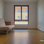 Rent 2 bedroom apartment in Praha 5
