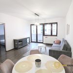 Rent 2 bedroom apartment of 48 m² in Wrocław