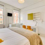 Rent a room in Westminster