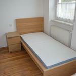 Rent 3 bedroom apartment of 90 m² in Fischamend