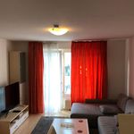 Rent 2 bedroom apartment of 55 m² in Heidelberg