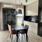 Rent 3 bedroom apartment of 69 m² in Lublin