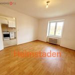 Rent 4 bedroom apartment of 67 m² in Havířov