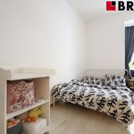 Rent 2 bedroom apartment of 75 m² in Brno