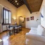 Affitto 1 camera appartamento di 58 m² in Firenze