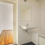 Rent 2 bedroom apartment of 136 m² in Helmond