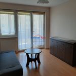 Rent 2 bedroom apartment of 42 m² in Toruń