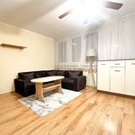 Rent 1 bedroom apartment of 31 m² in Wrocław