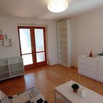 Rent 3 bedroom apartment of 54 m² in České Budějovice