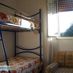 Rent 1 bedroom apartment of 130 m² in Santo Stefano in Aspromonte