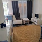 Rent 2 bedroom apartment of 51 m² in Carmaux