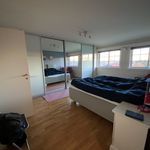 Rent 4 bedroom house of 384 m² in Sandefjord