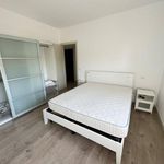 Affitto 3 camera appartamento di 100 m² in Treviso