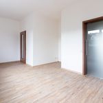 Rent 3 bedroom apartment of 94 m² in Prague