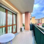 Rent 1 bedroom apartment of 46 m² in Cernusco sul Naviglio