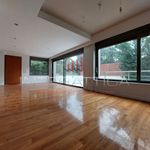 Ενοικίαση 6 υπνοδωμάτιο σπίτι από 460 m² σε Psychiko