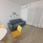 Affitto 1 camera appartamento di 30 m² in Turi