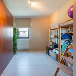Rent 3 bedroom apartment of 160 m² in Wichelen