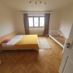 Rent 1 bedroom house in Písek