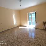 Rent 3 bedroom apartment of 110 m² in Isernia