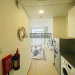 Rent 1 bedroom apartment of 404 m² in Al Barsha South 4