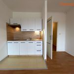 Pronajměte si 1 ložnic/e byt o rozloze 27 m² v Český Těšín