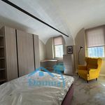 Rent 1 bedroom apartment of 30 m² in Pinerolo