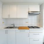 Huur 1 slaapkamer appartement van 47 m² in Antwerpen