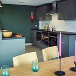 Rent 1 bedroom student apartment of 34 m² in Sheffield