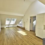 Rent 3 bedroom apartment of 190 m² in Etterbeek