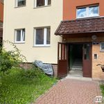 Rent 2 bedroom apartment of 49 m² in Goleniów