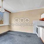 Rent 1 bedroom apartment of 37 m² in Louny